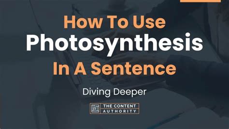 a sentence for chlorophyll|photosynthesis in a sentence.